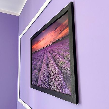 Apartament Lawendowy Wałbrzych Esterno foto