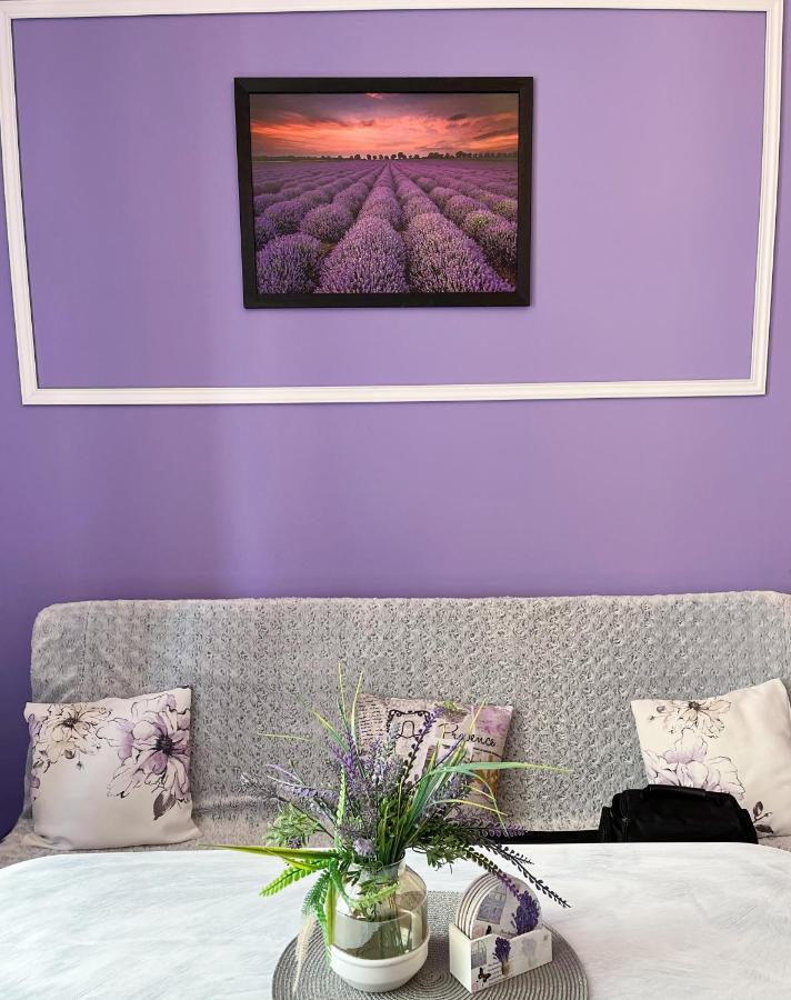 Apartament Lawendowy Wałbrzych Esterno foto